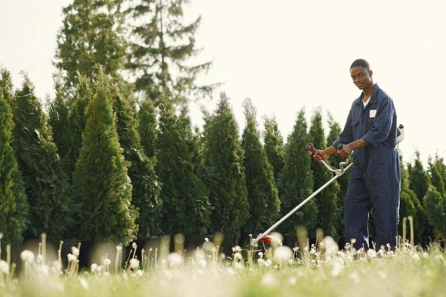 Cost of lawn care insurance in Arkansas