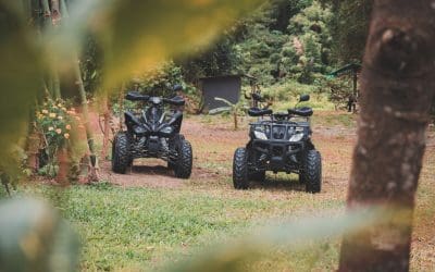Do You Need Full Coverage ATV Insurance in Arkansas?