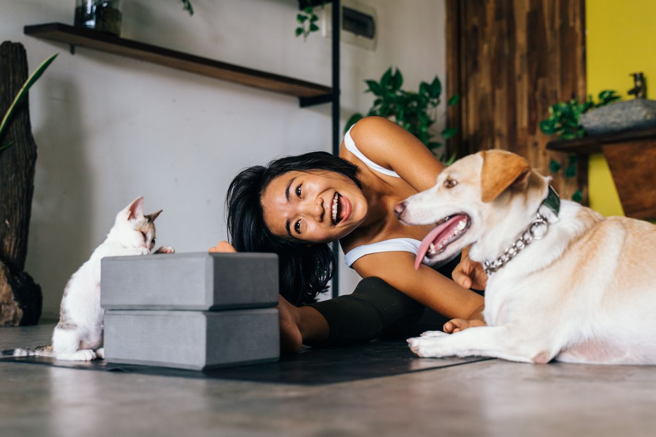 Does Pet Insurance Cover Surgery?