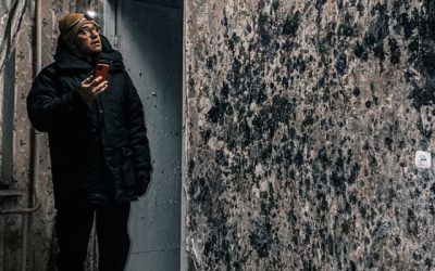 Does Renters Insurance Cover Mold in Fayetteville, AR?