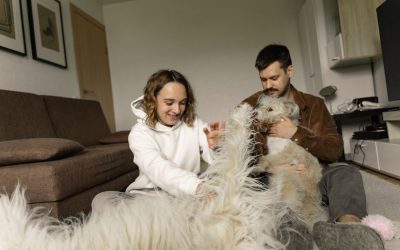 Does Pet Insurance Cover Surgery?
