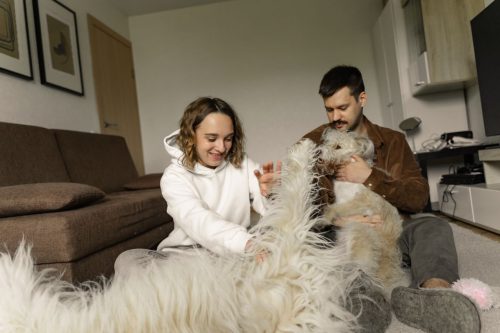 Pet owners enjoying time with their dogs