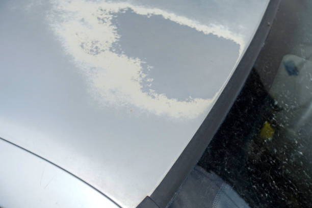 Car paint damage in Arkansas