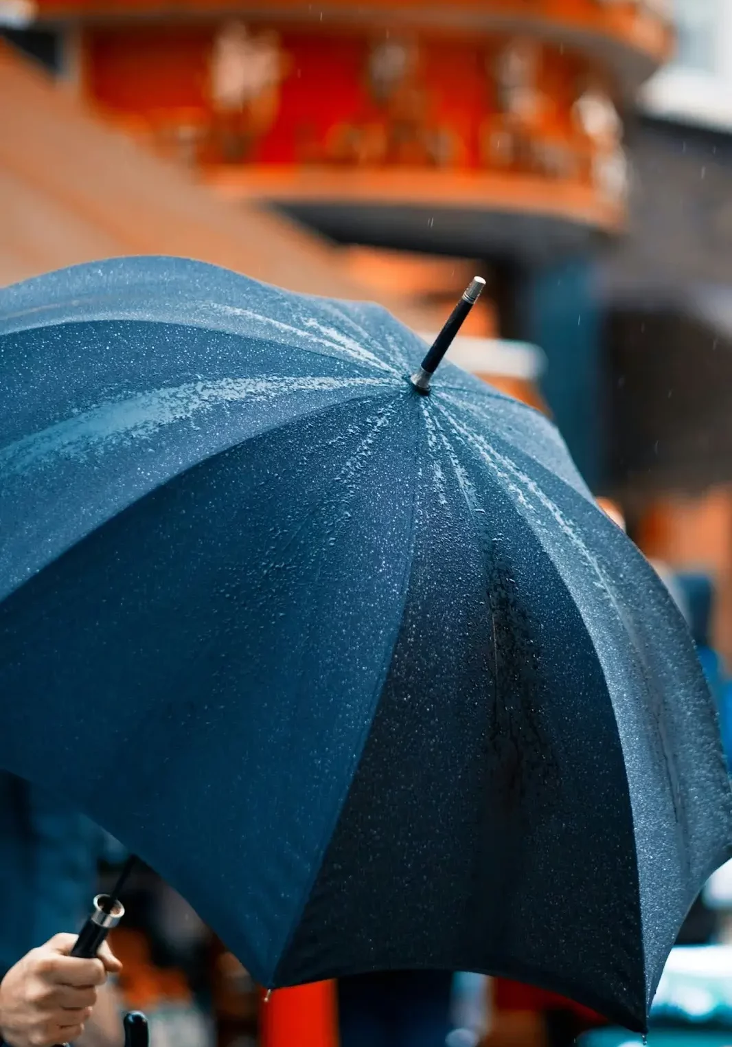 a person holding an umbrella in Utah